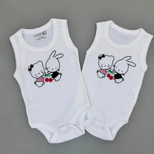 Set 2x Body Kanatjere bunny